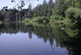 Picture of Lake Sylvia